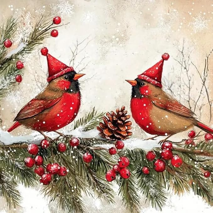 VIGEGU Christmas Diamond Art Kits for Adults - Cardinal Birds Diamond Painting Kits for Adults,Winter 5D DIY Full Round Drill Paint with Diamonds Dots Gem Art Crafts Kits for Home Decor 12x12 in