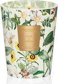 M&SENSE Sage Citrus Soy Candle, 14.1oz 60H Long Lasting, Aromatherapy Candle for Dining Room Freshness New Year Winter Housewarming Gifts