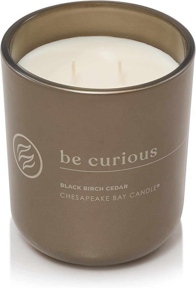 Chesapeake Bay Candle Intentions Collection Candle Be Curious: Possibilities are endless (Black Birch Cedar) 13 oz Home Décor