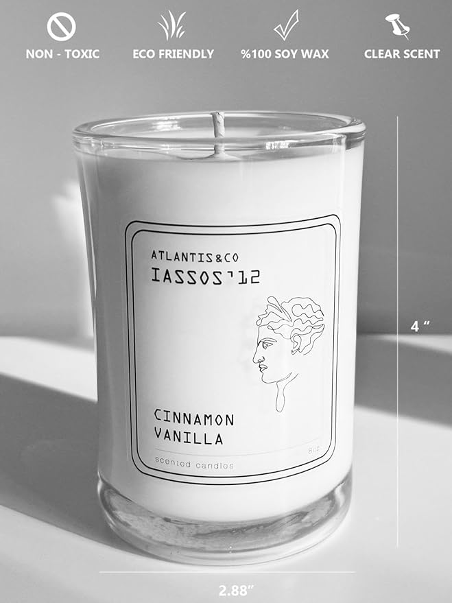 Cinnamon Vanilla Scented Candle, 8oz Jar with Long-Lasting Burn, Giftable, Holidays,Birthdays