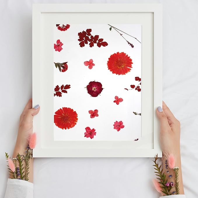 CONVELIFE Dried Flowers for Resin, Vacuum Packed DIY Pressed Flowers for Epoxy, Jewelry, Candles, Soap, Nail Production (80PCS Red Dried Flowers)