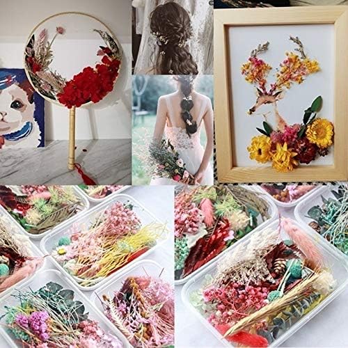 3 Box Real Natural Dried Flower Candle Handmade Making Aromatherapy Wax Piece Special Dried Flower DIY Material (Random Color)