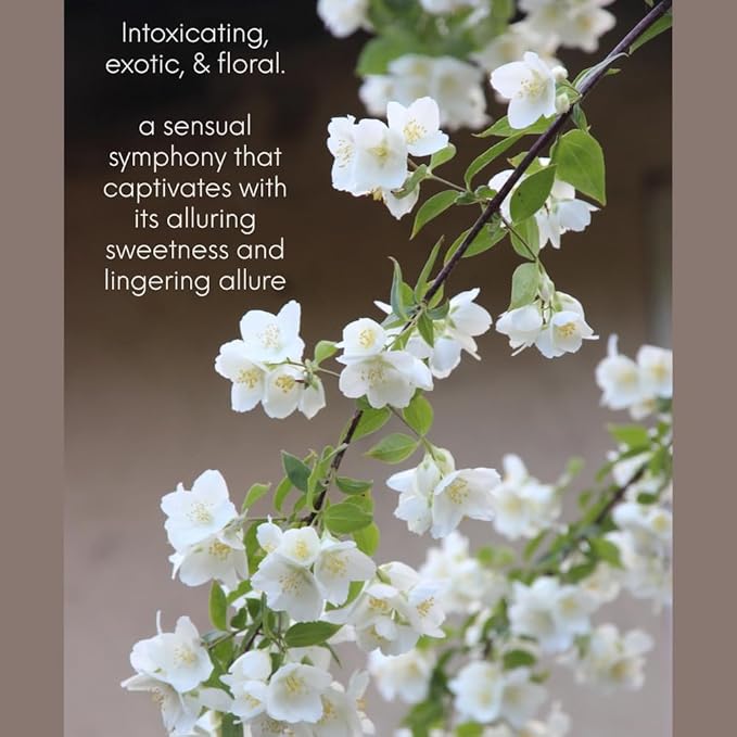 Jasmine from Our Floral Collection - Perfect for Adding Aroma to Freshies, Candles, Soaps, and Diffusers - 4 oz