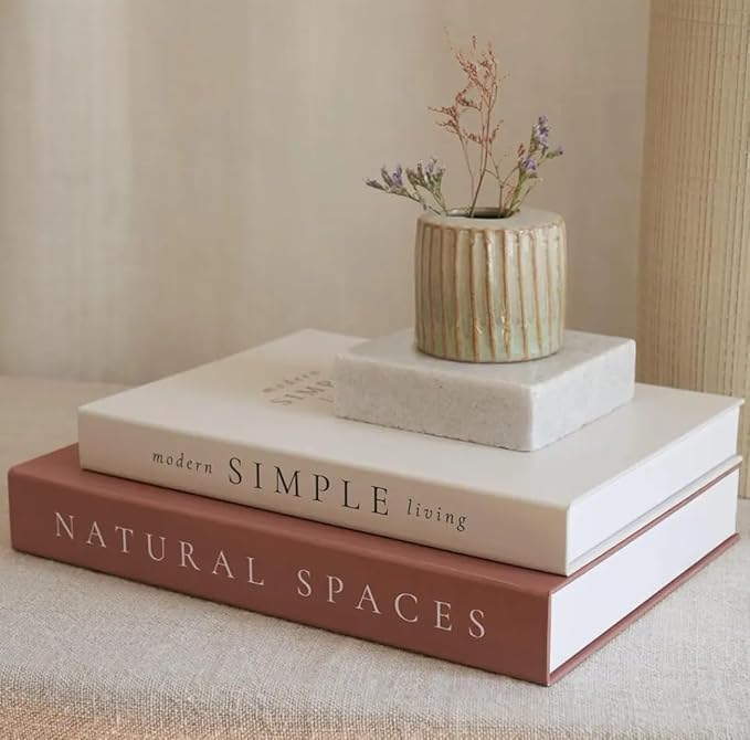 Decorative Books for Home Decor,2 Pcs Modern Minimalist Faux Book for Home Decoration,Coffee Table Decor,Living Room Aesthetic Accent (E3)
