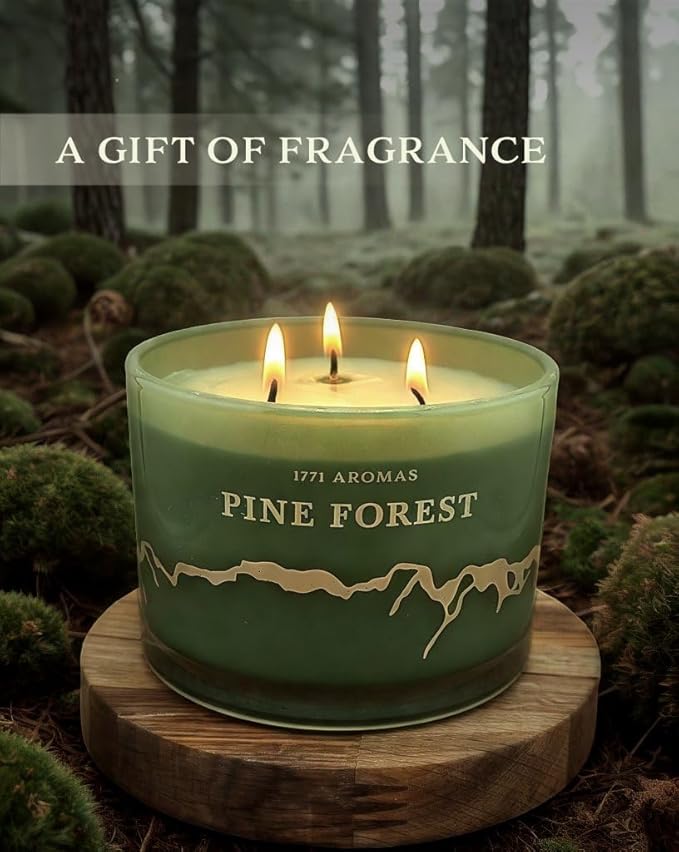 Pine Forest Scented Candles - 100% Natural Soy Wax - Large 3 Wick Jar Candle - Up to 50 Hours Burning Time - Candles for Home - Gift-Ready Candle for Men & Women - Aromatherapy
