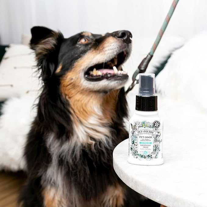 Pet-Pourri Pawsitively Fresh Pet Odor Freshener Bundle - 16 Fl Oz Air + Fabric Spray, 7.5 Oz Candle Jasmine, Fresh Air and Pear