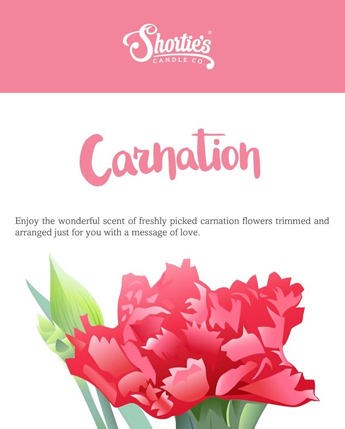 Shortie's Candle Company Pure Carnation Wax Melts Multi Pack - 2 Highly Scented 3 Oz. Bars (6 Oz. Total) - Made with Essential & Natural Oils - Flower & Floral Air Freshener Cubes Collection