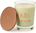 Root Candles Scented Candles Honeycomb Veriglass Premium Handcrafted Beeswax Blend Candle, Large, Tea Leaf & Honey