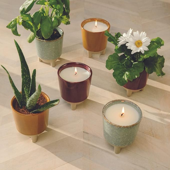 Modern Sprout Glow and Grow Kit - 2 in 1 Scented Candle That Grows into a Aloe Plant - 12 oz Soy Candle with 78 hr Burn time in Glaze Ceramic Vessel - Planter Ideal for Home Decor Aesthetic