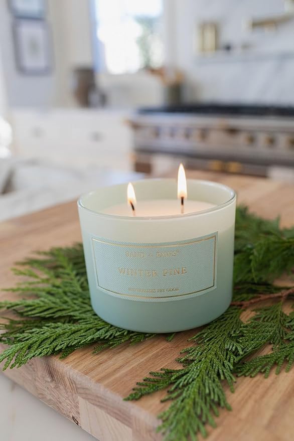Sand + Paws Scented Candle - Winter Pine - Additional Scents and Sizes –Luxurious Air Freshening Jar Candles Neutralize pet Odors and Enhance Home décor – 100% Cotton Lead-Free Wicks - 12 oz