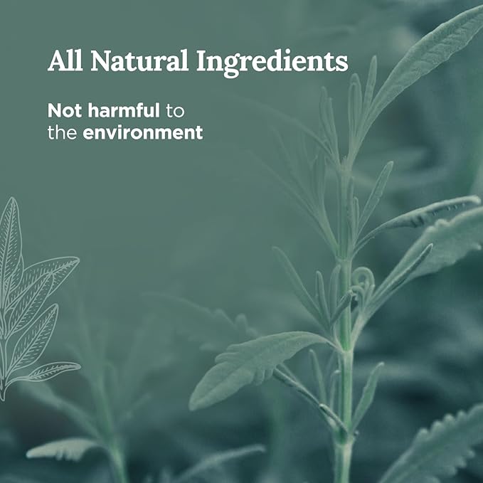 Magnificent 101 Long Lasting Pure White Sage Scented Smudge Candle - 6 Oz - 35 Hour Burn - Made of Soy Wax for House Energy Cleansing, Purification & Manifestation - Soy Candles