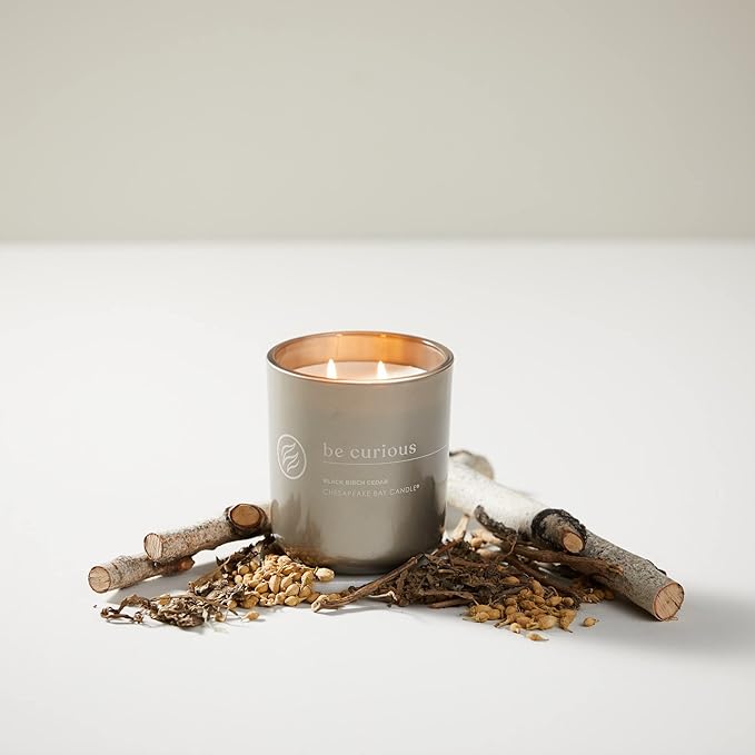 Chesapeake Bay Candle Intentions Collection Candle Be Curious: Possibilities are endless (Black Birch Cedar) 13 oz Home Décor
