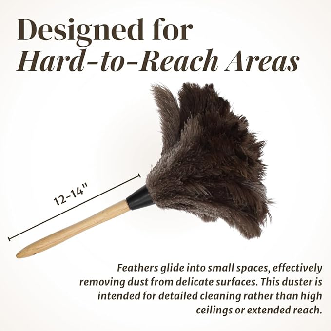 Feather Duster with Ostrich Feathers Wooden Handle 14" – Natural Reusable Duster for Cleaning, Furniture & Shelves, Blinds, Ceiling Fan, Dusting Tool for Home, Office, Delicate Surfaces - 2 Pack