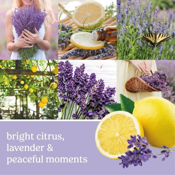 Yankee Candle Concentrated Air Freshener Room Spray, Lemon Lavender, Midsummer's Night, Clean Cotton (1 Ea.) (Variety Pack)