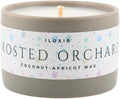 Frosted Orchard Luxury Candle for Fall Décor – Refreshing Scented Candles with Citrus Pine Juniper & Sage– Handcrafted Non-Toxic Candles, Phthalate-Free Cruelty-Free Coconut Wax Candle (5 oz.)