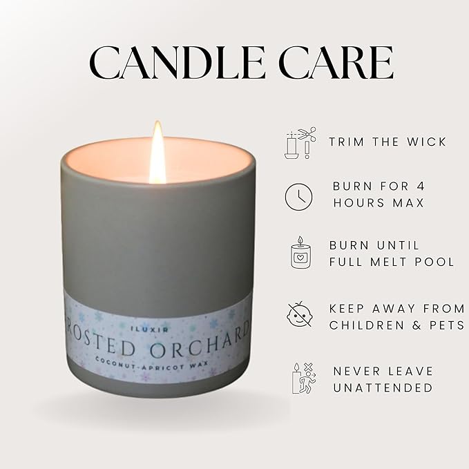 Frosted Orchard Luxury Candle for Fall Décor – Refreshing Scented Candles with Citrus Pine Juniper & Sage– Handcrafted Non-Toxic Candles, Phthalate-Free Cruelty-Free Coconut Wax Candle (13 oz.)