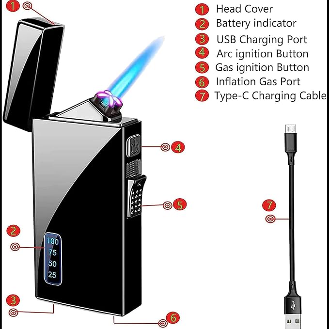 Torch Lighter, Dual Arc Lighter and Jet Flame Torch Lighter 2 in 1，USB Rechargeable Electric Lighter with Battery Indicator, Refillable Butane Windproof Infinity Lighter (Without Butane)-Good Luck