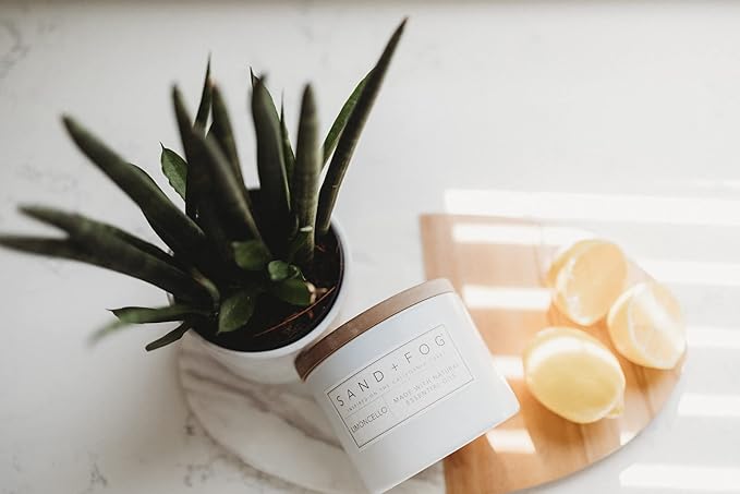 Sand + Fog Scented Candle - Winter White – Additional Scents and Sizes – 100% Cotton Lead-Free Wick - Luxury Air Freshening Jar Candles - Perfect Home Decor – 12oz - Holiday Scents