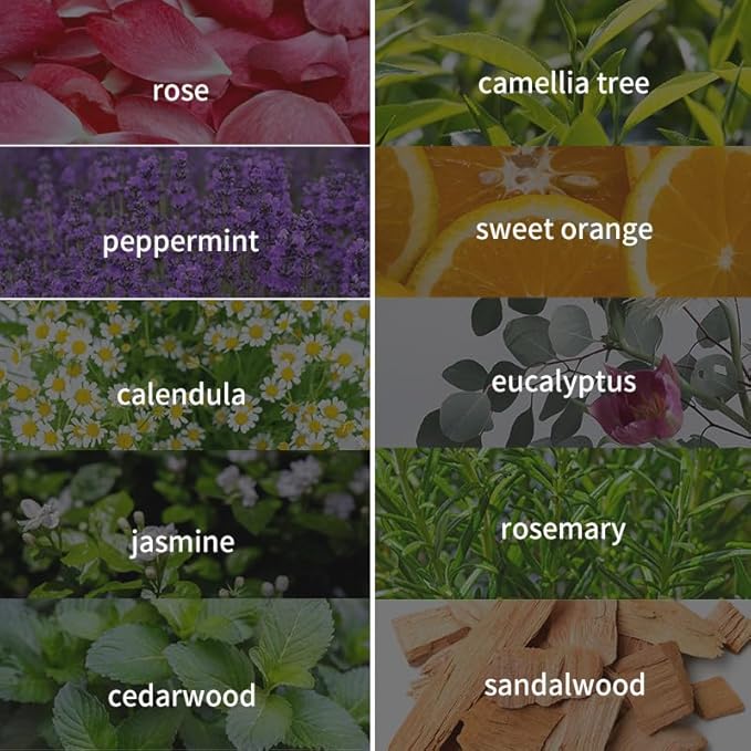 Rosemary Fragrance Oil for Massage,Bath,Spa,Skin and Hair Care, Diffuser Essential Aromatherapy Oils,Waterless Oil for Diffuser Easy to Nebulizer