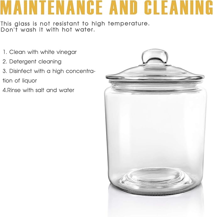 Airtight Glass Jar,Cookie Candy Penny Jar with Leak Proof Rubber Gasket Lid,1 Gallon Clear Round Big Household Multifunctional Storage Container with Silicone Reusable Food Bag for Cookies, Candies