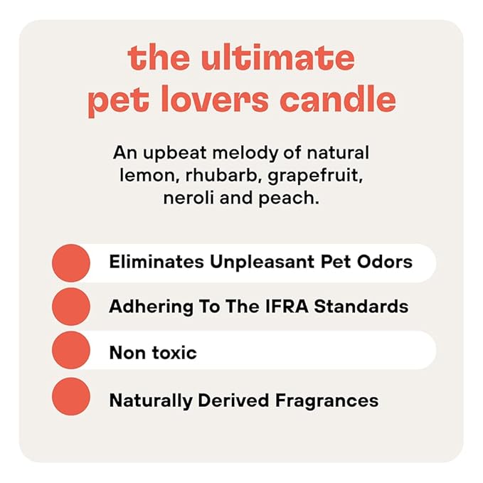 Zoop Pet Odor Eliminating Candle - 100% Natural- Pet Odor Eliminator for Home - Non-Toxic and Eco-Friendly Air Freshening Scented Candles -1 Pack