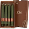 Root Candles 4-Count Unscented Dinner Candles Dripless Beeswax Enhanced Grecian Collenette Boxed Candle Set, 9-Inch, Dark Olive