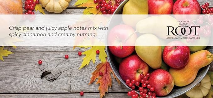 Root Candles Fall Scented Candles in Travel Tin 24-Hour Honeycomb Traveler Handcrafted Beeswax Blend Candle, 4-Ounce, Spiced Orchard