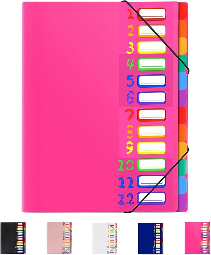 24 Pockets Expanding File Folder Organizer,Accordion File Organizer,A4 Letter Size,Rainbow Tab, for Home/Office/School Document Organizer (Rose Pink)