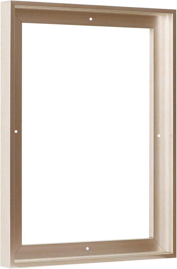 Pixy Canvas Floater Frame 22x30 for 3/4 (0.75) inch Deep Canvas Paintings/Canvas Prints/Wood Canvas Panels/Wall Art/Wall Decor/Home Decor/Artwork (Champagne, 22 x 30 inch, Portrait)