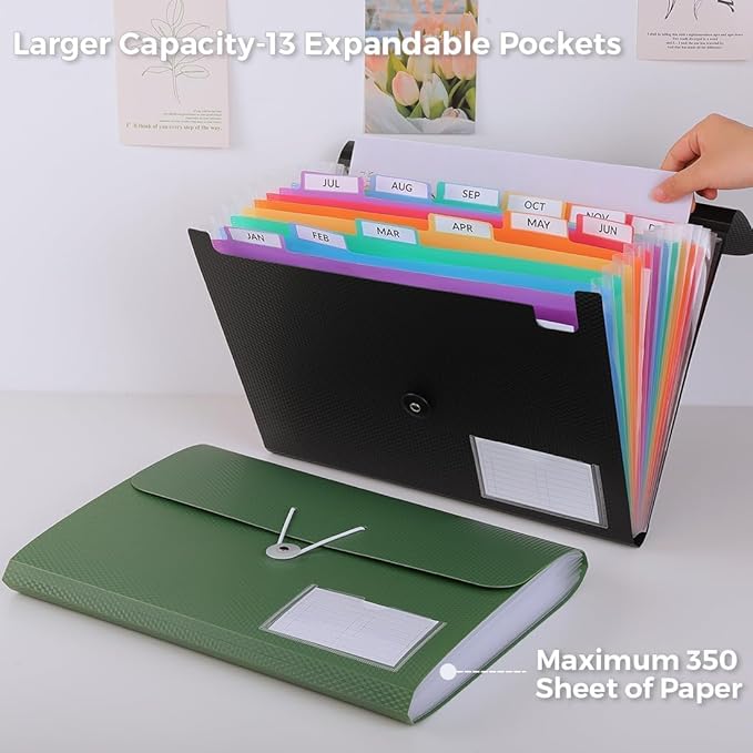 SKYDUE Expanding File Folder, Accordion File Organizer with 13 Pockets for A4/Letter Sized Paper, Accordion Folder with Labels - Document Receipt Organizer for Office, School, Home