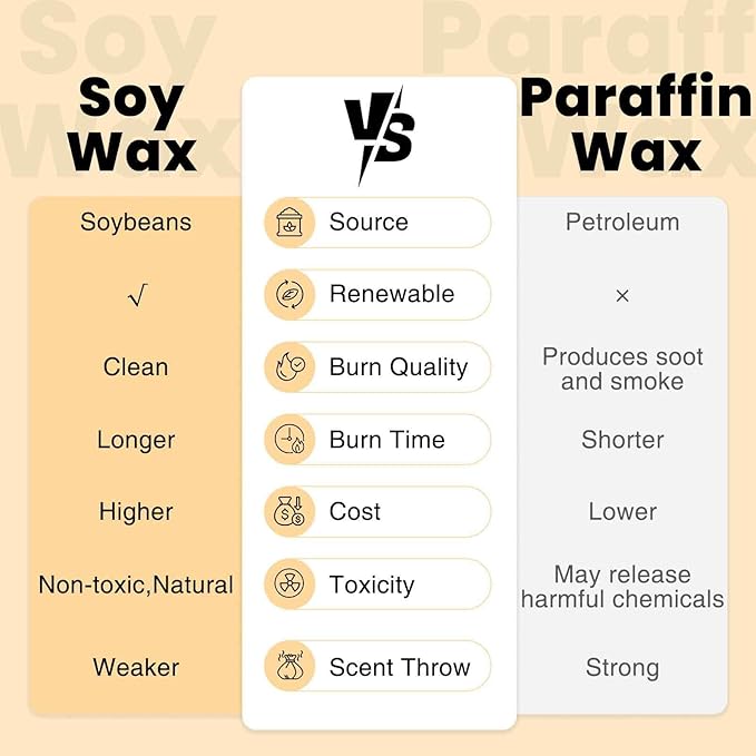 M&SENSE Large Two-Wick Soy Candle | Banana Leaf & Gold | 19.8 oz, 120H Burn Time | Luxury Scented Candle for Relaxation, Gifting, Home Décor | Ideal for Bedroom, Office, Party Ambiance