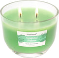 Carolina Freshens Coastal Palms Odor Eliminating Highly Fragranced Candle for Home Scented, Eliminates 90% of Pet, Smoke, Food and Other Smells Quickly, 2 Wick, 14 oz - Made in The USA