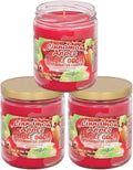 Smoke Odor Exterminator Cinnamon Apple Candle 13oz (3)
