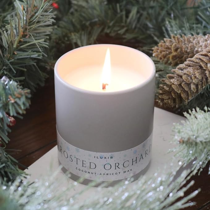 Frosted Orchard Luxury Candle for Fall Décor – Refreshing Scented Candles with Citrus Pine Juniper & Sage– Handcrafted Non-Toxic Candles, Phthalate-Free Cruelty-Free Coconut Wax Candle (13 oz.)