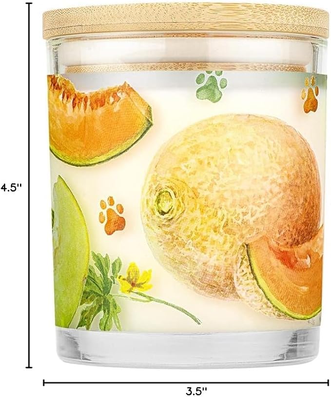 Pet House Candles, Natural Plant-Based, Long Lasting Candles for Pet Odor, 60 Hour Burn Time - Juicy Melon, 9 oz, 2 Pack