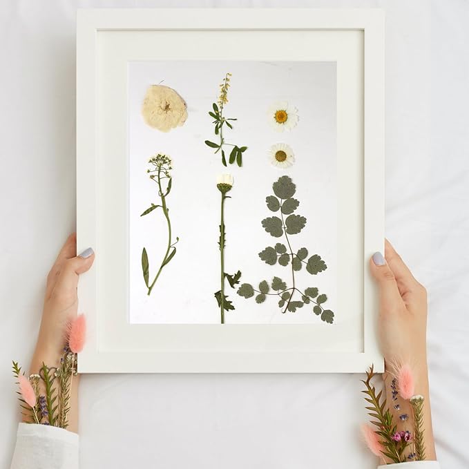 CONVELIFE Dried Flowers for Resin, Vacuum Packed DIY Pressed Flowers for Epoxy, Jewelry, Candles, Soap, Nail Production (80PCS White Dried Flowers)
