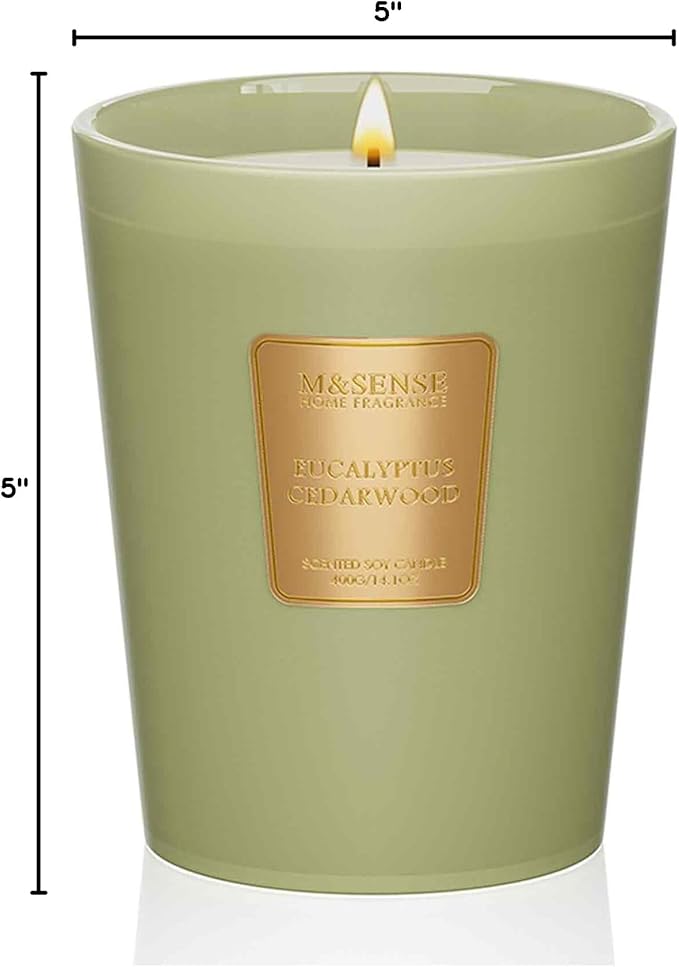 M&SENSE Eucalyptus Cedarwood Soy Candle, 14.1oz 60H Long Lasting, Aromatherapy Candle for Office Relaxation Winter Home Decor Housewarming Gifts