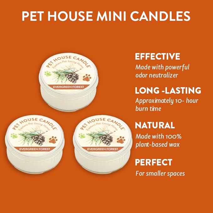 Pet House Mini Candles for Pet Odor Made with Natural Soy Wax, Plant Based, Dog and Cat Friendly Scented Candles, Evergreen Forest Pack of 3