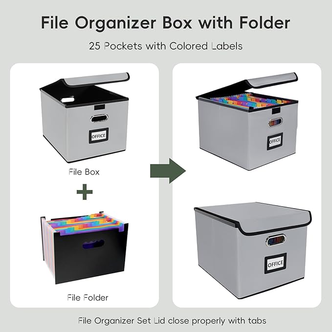 File Organizer Box with Folder, Accordion File Organizer 25 Pockets, File Folder Organizer with Lid for Home, Office, School, Silver