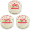 Pet House Mini Candles for Pet Odor Made with Natural Soy Wax, Plant Based, Dog and Cat Friendly Scented Candles, Watermelon Mojito Pack of 3