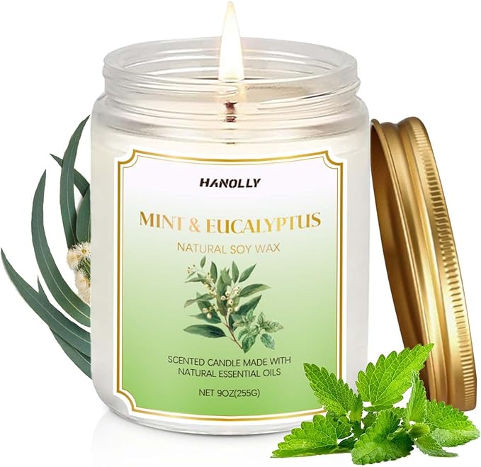 Mint & Eucalyptus Candle, 9 oz Scented Candles for Home Soy Candle Wax, Aromatherapy Candles for Women Men, Birthday Christmas Gifts, Perfect for Creating a Relaxing Ambiance