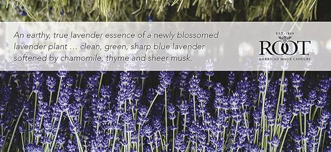 Root Candles Scented Candles Honeycomb Veriglass Premium Handcrafted Beeswax Blend Candle, Large, English Lavender