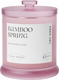 Spring Bamboo Scented Candle, 13oz Natural Soy Wax, 2 Wick Large Candles for Home Scented, 75Hour Long Lasting Slow Burning | Aromatherapy Candle for Home Decor, Stress Relief & Relaxation