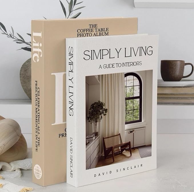 Decorative Books for Home Decor,2 Pcs Modern Minimalist Faux Book for Home Decoration,Coffee Table Decor,Living Room Aesthetic Accent (E1)