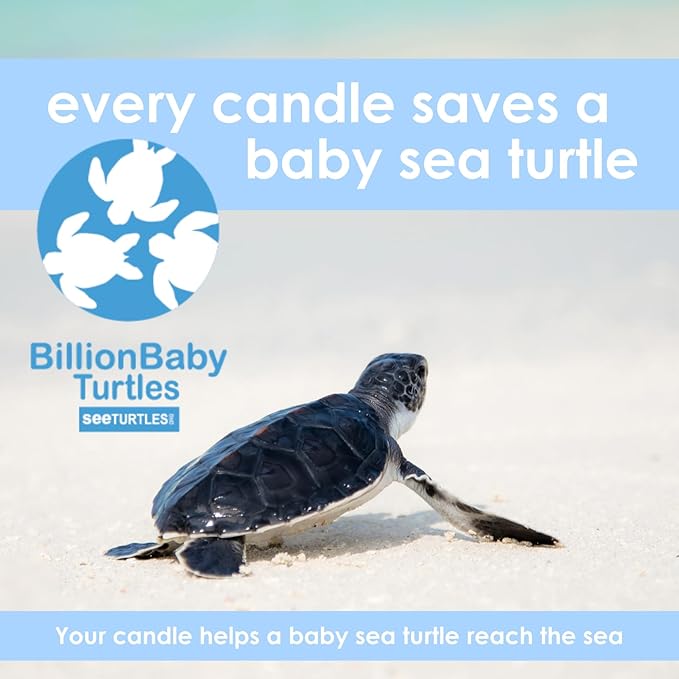 Stress-Free | Pet Safe Candle | Coconut Apricot Wax | Soy-Free | Non-Toxic | Dog & Cat Safe Candle | Pet Odor Eliminator | Air Freshening Scented Candles | Veterinarian Approved | 9 oz