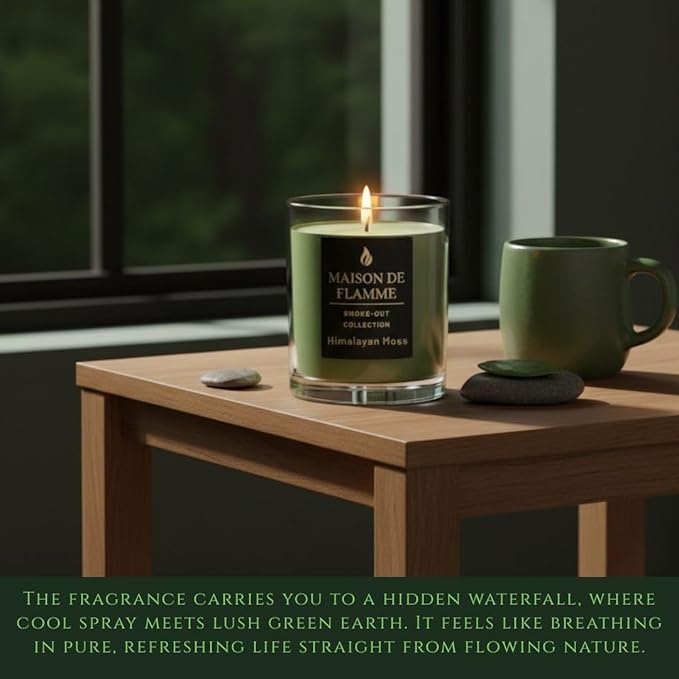 Smoke Odor Eliminating Candle – Himalayan Moss Soy Wax Candle for Kitchen, Apartment & Home Smells, Long Lasting Odor Neutralizing Scented Candle, 150g / 5.3 oz – Maison De Flamme