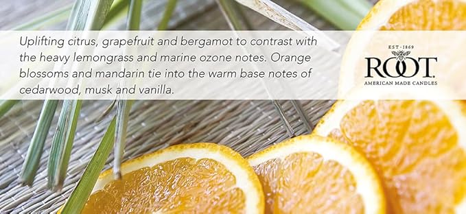 Root Candles Scented Candles Honeycomb Beeswax Blend Premium Handcrafted Candle, Large Veriglass, Tangerine Lemongrass