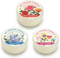 Pet House Mini Candles for Pet Odor Made with Natural Soy Wax, Plant Based, Dog and Cat Friendly Scented Candles, Floral Variety Pack of 3