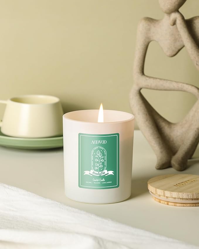 AOOVOO Eucalyptus Mint Scented Candles for Women - Aromatherapy Candle with Crystals Inside, 10oz Soy Candles for Home Scented, Birthday Gifts Valentines Day Candle for Women Mom