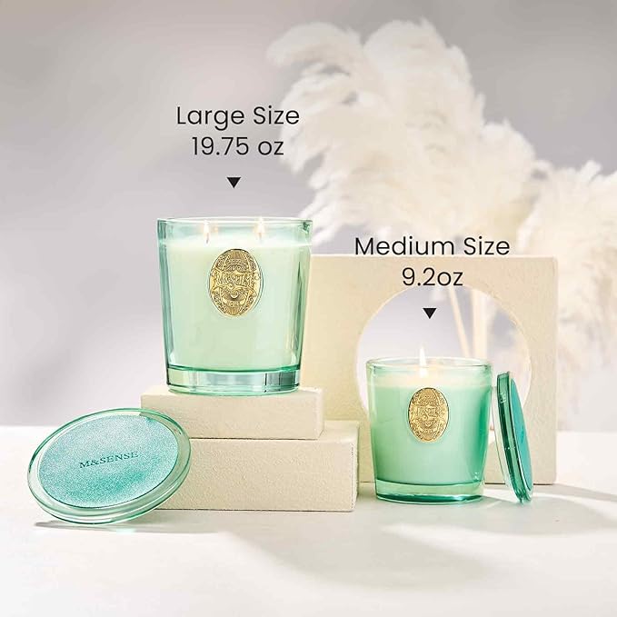 M&SENSE Two-Wick Eucalyptus Mint Candle for Relaxation | 120-Hour Burn Aromatherapy Soy Candle | Calming Stress Relief & Home Fragrance | 19.8 OZ Luxury Scent for Bedroom, Office & Gift